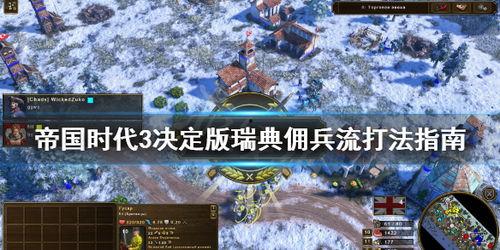 帝国3娱乐打法,娱乐玩法攻略全解析