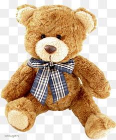 熊熊熊照片,自然界的可爱使者