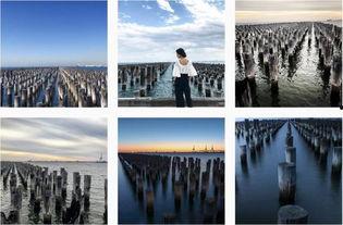 网红大金个背景,从网红到创业明星的蜕变之路