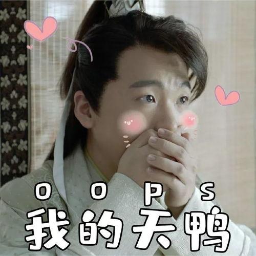 范思辙表情包gif,笑点满满，表情包界的“开心果”