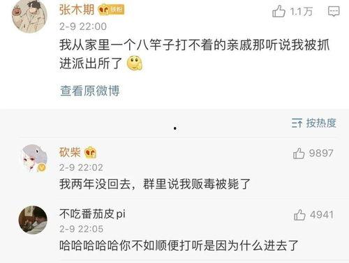 过年回家搞定八卦,揭秘亲朋好友的年度八卦风云